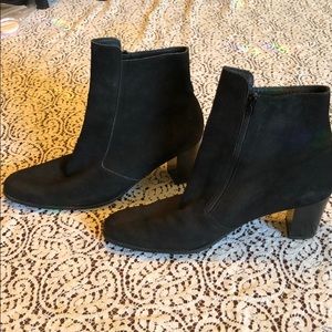 Classic suede Arche ankle boots